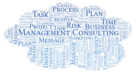 Management Consulting word cloud, made with text only.