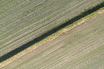 Texture diagonal - dry ditch between two fields