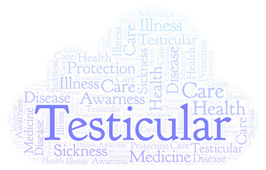Fototapeta premium Testicular word cloud.