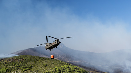 Fototapeta na wymiar Fire Fighting Helicopters in Action