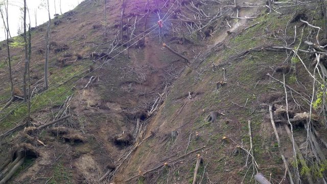 Aerial - Wire skidding of wood down the steep terrain