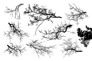 Realistic set of tree branches silhouette 