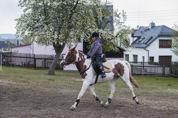 Young girl rides a horse / Young girl rides a horse and trains for show jumping.