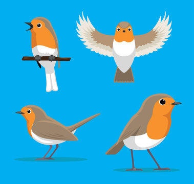 Robin Cartoon Images – Browse 9,304 Stock Photos, Vectors, and Video | Adobe Stock Robin Cartoon Images – Browse 9,304 Stock Photos, Vectors, and Video | Adobe Stock