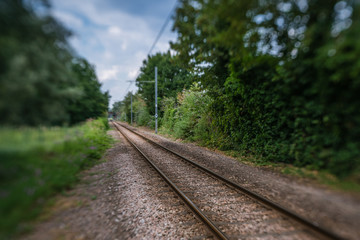 Fototapeta premium Tramway tracks in the forest