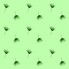 Seamless pattern of small palm leaves on green mint  background in the style of polka dot.