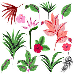 Set of  vector  beautiful artistic bright tropical with exotic forest. Colorful original stylish floral background print, bright rainbow colors on white.