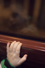 Little boys hand on a window pane in a bus