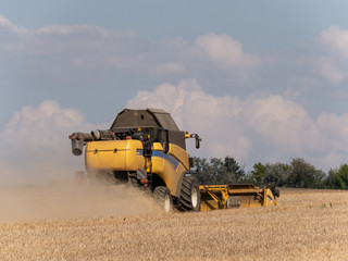 Obraz premium Yellow combine harvesters on the field. Combine harvest on grain field. Summer harvest and blue sky. Harvesting on grain field. Harvests wheat in the fields in summer.