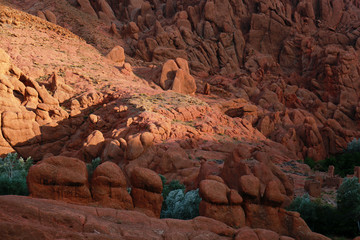 Monkey fingers in Dades