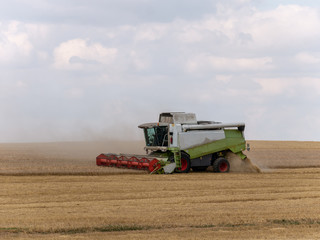 Combine harvesters on the field. Combine harvest on grain field. Summer harvest and blue sky....