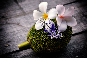 watering can with flowers