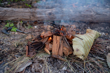 Bonfire in the forest