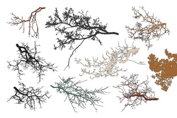 Realistic set of tree branches silhouette (Vector illustration). Different color shades 