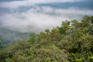 foggy and cloud on high mountains in Thailand
