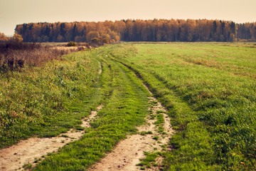 Obraz premium Ground country road in a field. Autumn landscape.