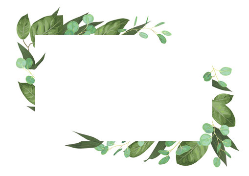 Vector card floral design with green watercolor, herbs, leaves eucalyptus, lily leaves, botanical green, decorative frame, horizontal rectangle. Cute greeting, postcard template