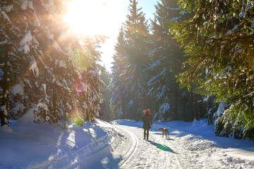 Frau und Weimaraner Jagdhund machen einen Spaziergang im sonnigen Winterwald