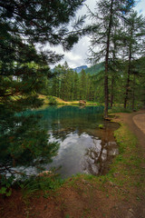 alpine lake in a pine forest in Rhemes Notre Dame