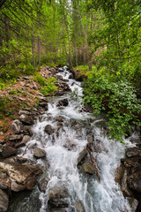 Small River with the Pure Water from the Glacier in wood the National Park Gran Paradiso in the North Italy, Aosta, Alpen,