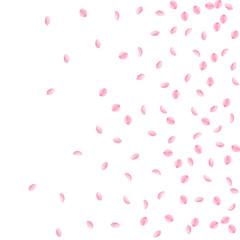 Fototapeta na wymiar Sakura petals falling down. Romantic pink silky small flowers. Sparse flying cherry petals. Right gr