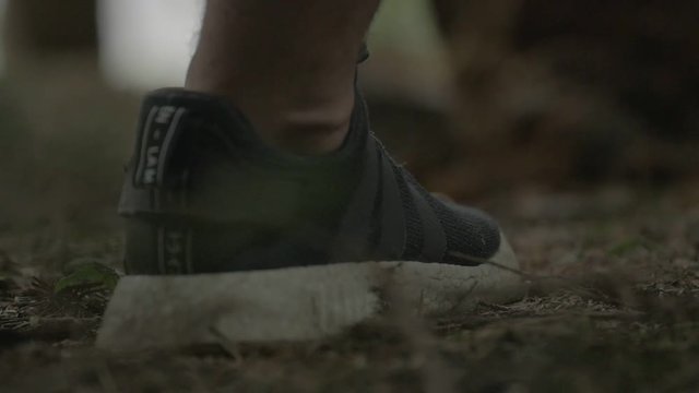 Slowmotion in the forest
