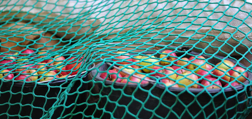 cargo safety net over apples on a pickup