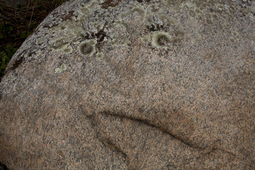 stone with eyes and mouth