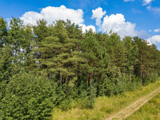 Fototapeta na wymiar Aerial view to pine forest, dirt road and blue sky with white clouds. Summer russian landscape.