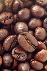 fragrant ingredient close-up/ a lot of toasted coffee beans