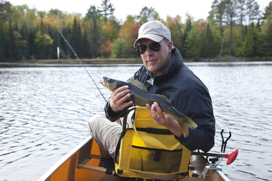 Smiling fisherman in a canoe on a northern Minnesota lake holds up a nice walleye