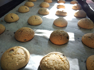 cookies with chocolate only after baking on a baking sheet