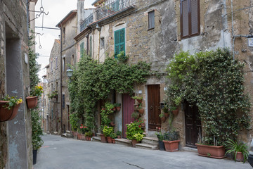 Fototapeta na wymiar Pitigliano Italy June 30th 2015 : Climbing plants covering houses in the narrow streets of Pitigliano, Tuscany