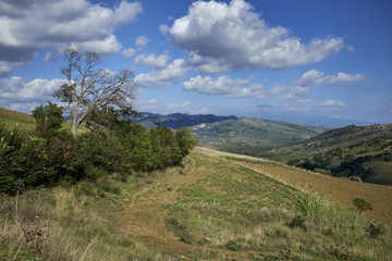 Fototapeta na wymiar Le campagne della Provincia di Palermo e sullo sfondo il Vulcano Etna
