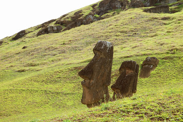 Many remains of huge Moai on the slope of Rano Raraku volcano, Rapa Nui national park on Easter Island, Chile