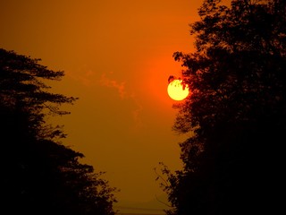 Beautiful display of a full sunset behind the trees