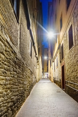 Obraz premium Night shot of a lonely and narrow cobblestone alley with facades of stone houses located in the old center of the city of Vitoria, Spain