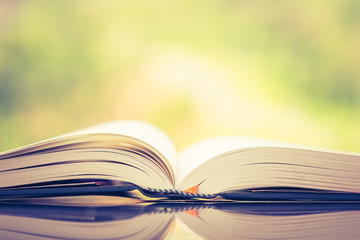 Opened Book on Green Background