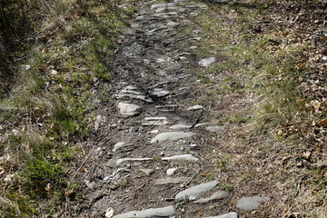 Texture of the path