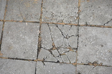Obraz premium cracked street tile
