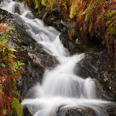Fototapeta na wymiar Scottish Stream flowing in Autumn into Loch Katrine in the highlands