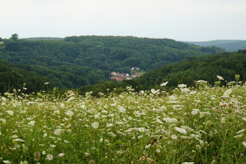 Biosphärenlandschaft  im Bliesgau bei Blieskastel © Cornelia Scheidt
