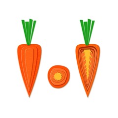 Set of paper cut orange carrot. Vector paper cut design in the form of ripe carrots whole and slice for design of food packaging. Vector illustration. Paper applique vegitable. Origami concept.