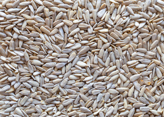 Sunflower Grains. Food. Macro. Seeds