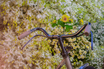 Fototapeta na wymiar Bicycles with lots of flowers.