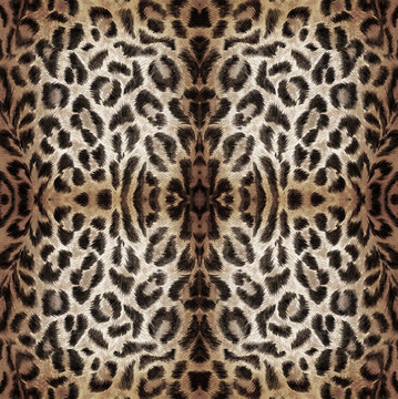 2018-2019 moda leopar