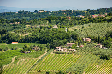 Tuscan houses and vineyards near Montepulciano, Tuscany