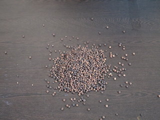 A pile of black pepper isolated on white background,Close up of black peppercorns or kali mari on wooden surface with its extracted herbal beneficial oil, Black Pepper, Kali Mirch,