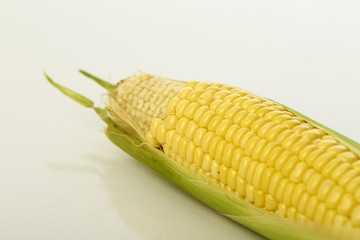 organic ear of corn on a white