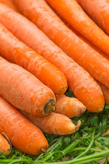 Fresh, raw, organic, bio, orange carrots. Healthy vegan vegetarian vegetable food 